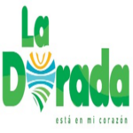 logo_24